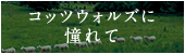 コッツウォルズに憧れて